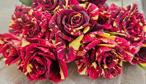 Ma Cherie Roses Seeds - Rose Flower Seeds for Garden