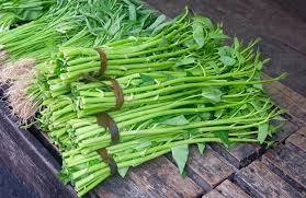 Kangkong Water Spinach Bamboo Leaf Seeds – Fast-Growing Organic Leafy Greens