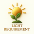 light-requirement