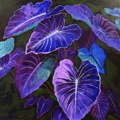 Caladium Bicolor Blue Mix Seeds for Planting – Vibrant Tropical Foliage for Shade Gardens