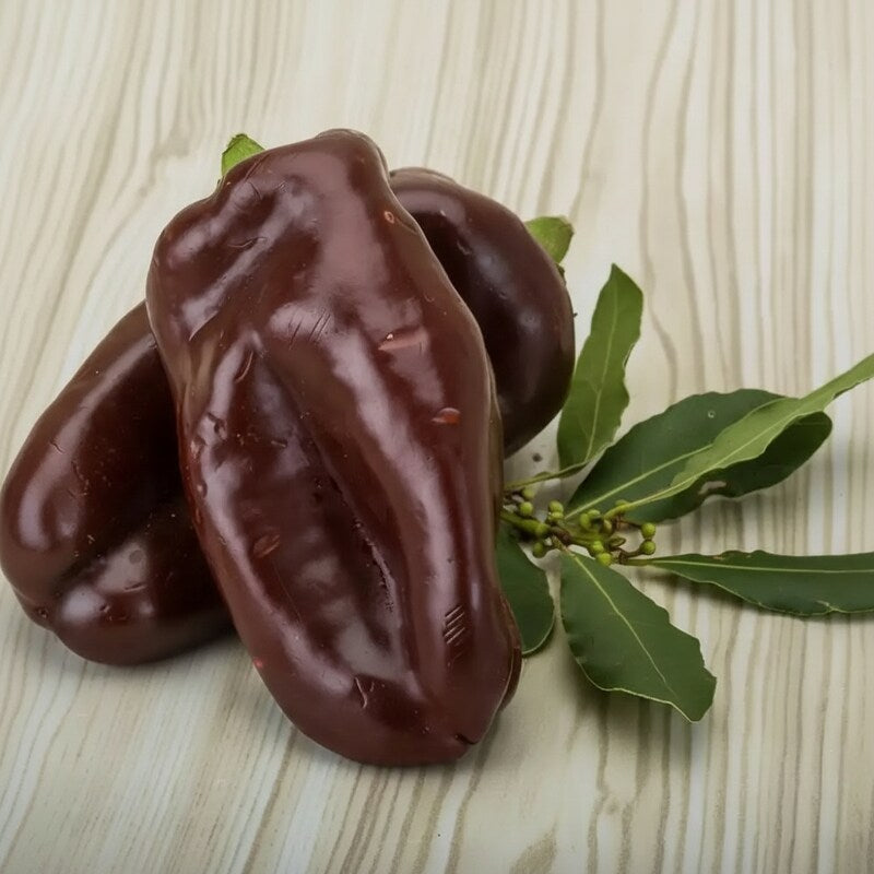 Mini Sweet Pepper Sweetonia Chocolate Seeds for Planting – Compact Growth for Containers and Small Gardens