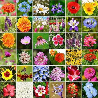 Confetti Flower Seeds - Mixed Flower Seeds for Garden