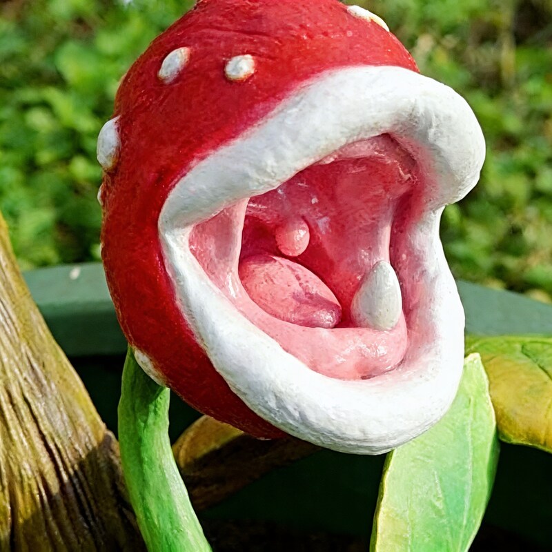 enchantress-carnivorous-plant-seeds-exotic-insect-trapping-wonders