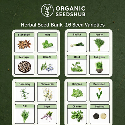 all-in-one-herb-seed-bank-for-planting-16-seed-varieties