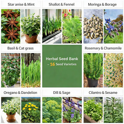 All-in-One Herb Seed Bank – 16 Seed Varieties