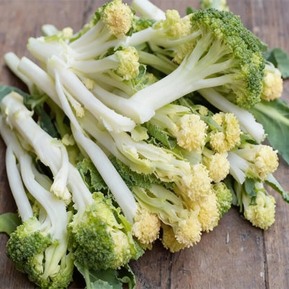 White Sprouting Broccoli Seeds for Gardening
