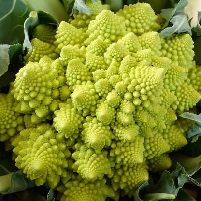 Broccoli Romanesco Seeds - Heirloom Broccoli Seeds for Home Garden