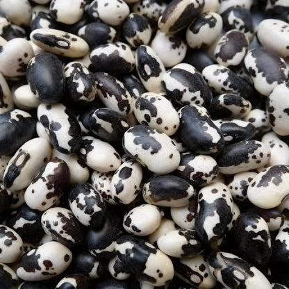 Calypso Bean Seeds – Premium Heirloom Gardening Delight for Your Bountiful Harvest