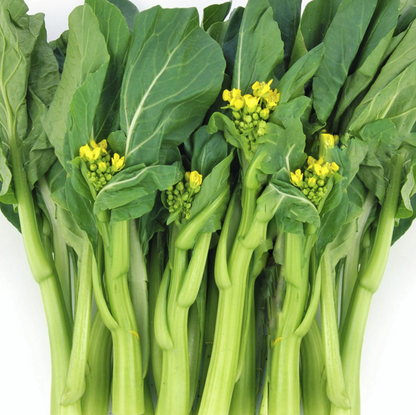Green Choysum Seeds for Planting – Asian Leafy Vegetable